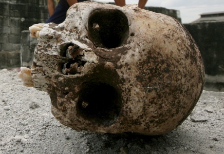 0-171926-skull.jpg