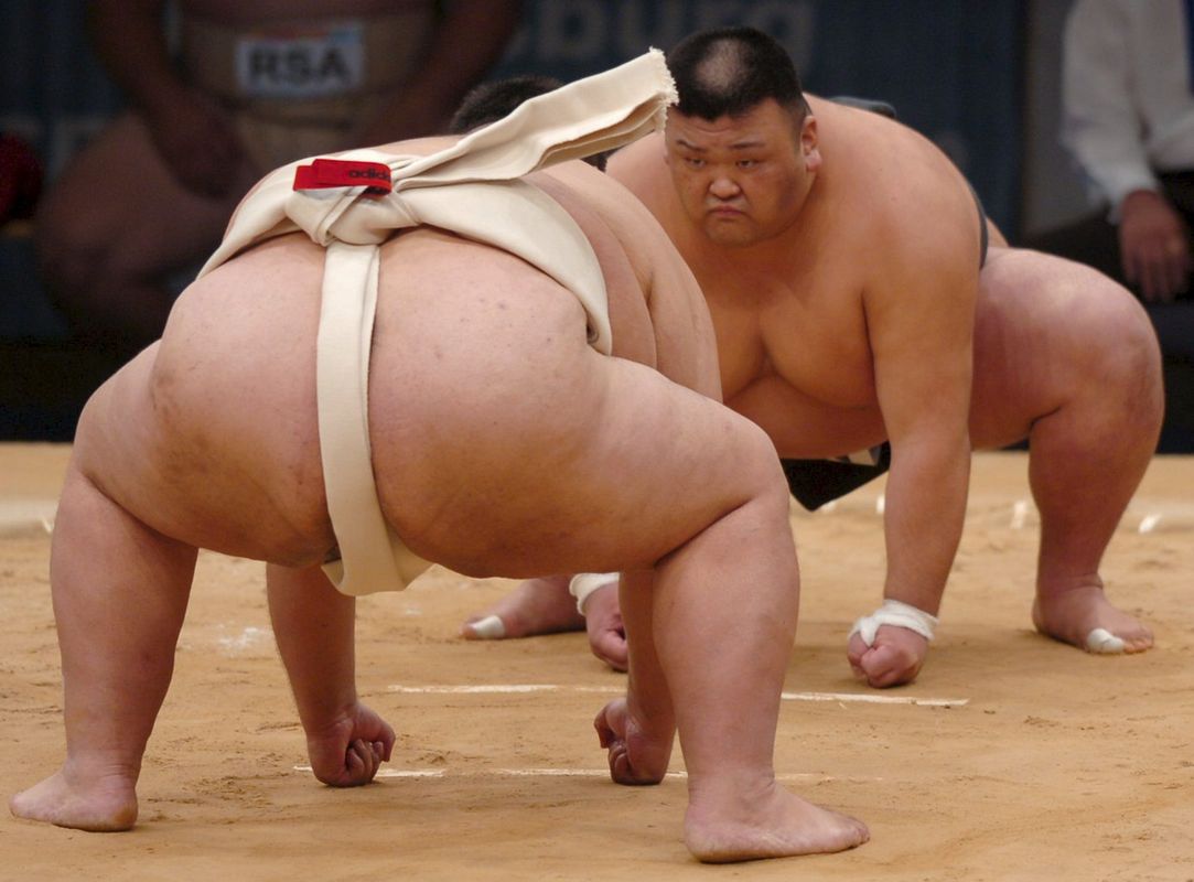 0-174777-sumo1.jpg