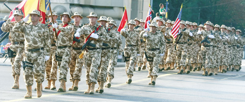 4088-169028-1819foto114col16cmmijloc.jpg