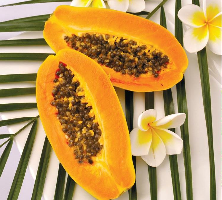 4099-172523-papaia.jpg