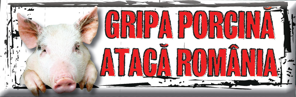 4104-173831-gripa1.jpg