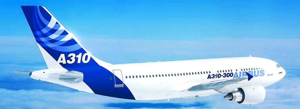 4113-176561-30airbusa310highres_00000401778926.jpg