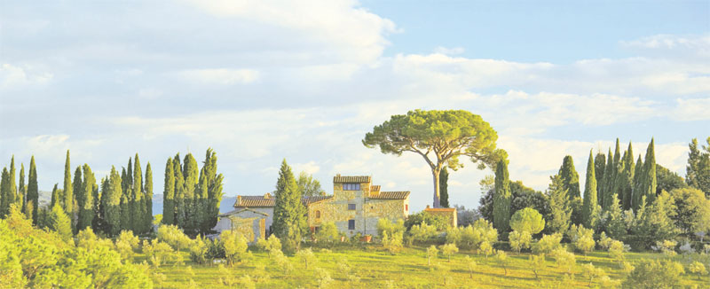 4166-186215-toscana.jpg