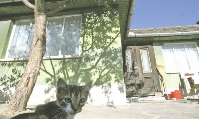 0-190031-hertamullercasa.jpg