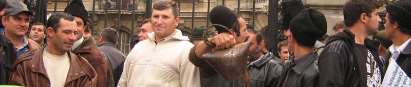 0-195762-1.jpg