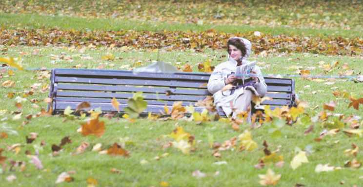 4173-187717-oct.jpg 4173-187717-oct.jpg