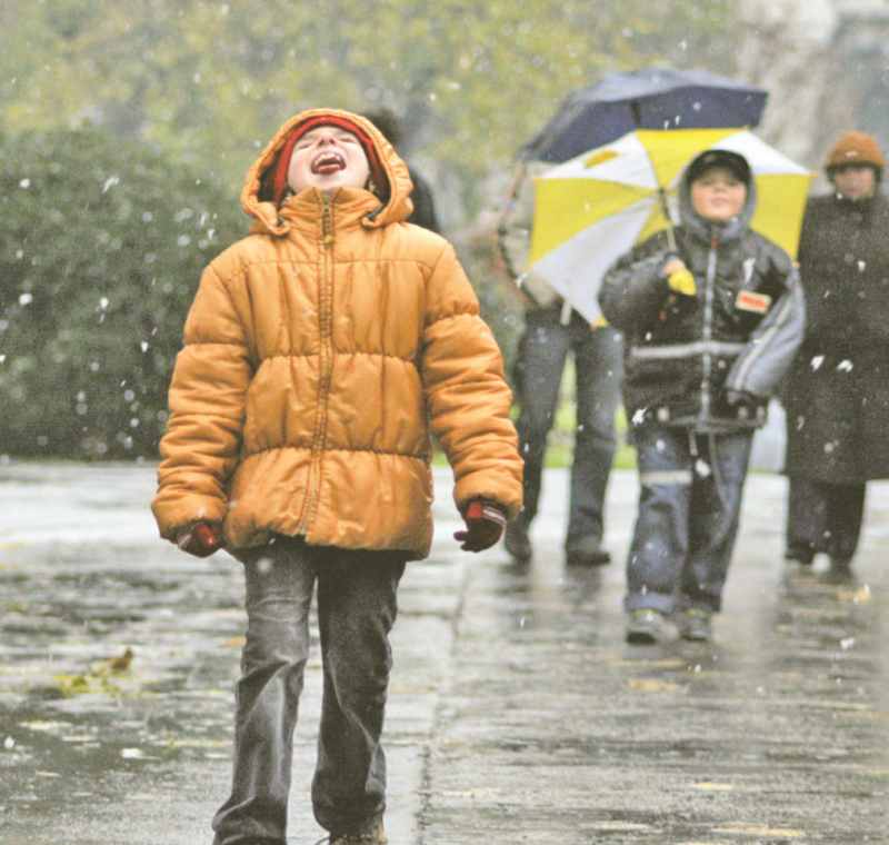 4173-187718-noie.jpg 4173-187718-noie.jpg