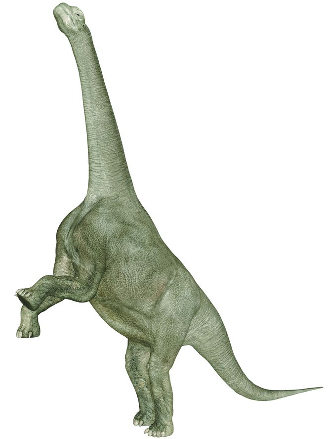 4179-189586-31dinozaurshutterstock_34867624.jpg