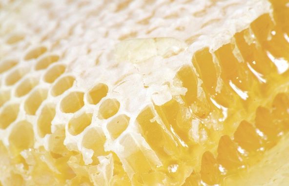 4193-193728-propolis.jpg