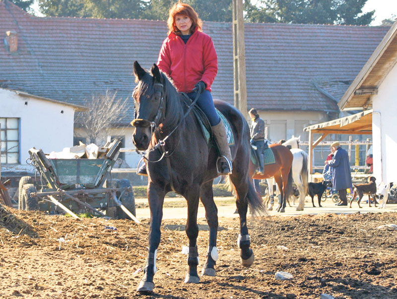 4224-202668-mariabase.jpg