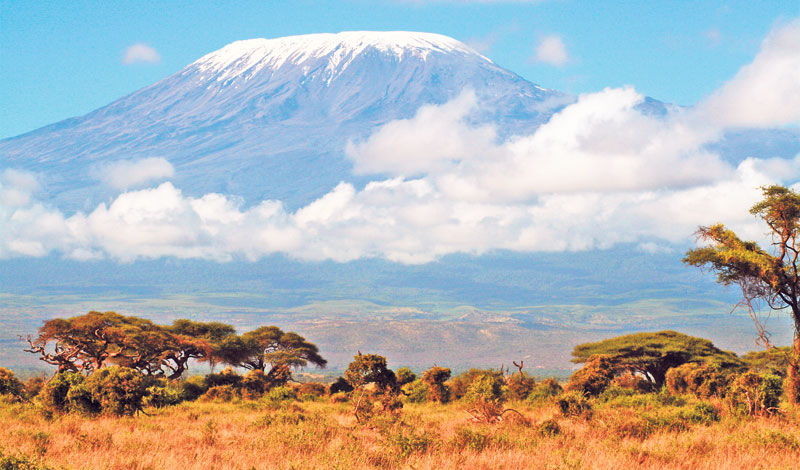 4224-202753-kili.jpg