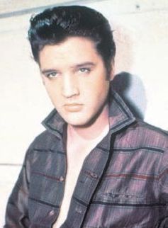 4233-205287-elvisssss.jpg