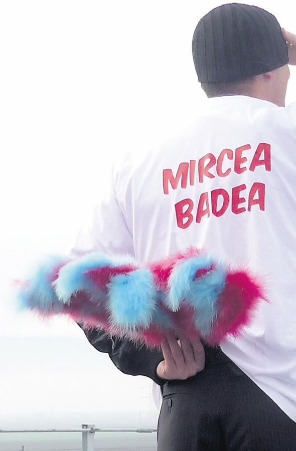 4234-205760-badea.jpg