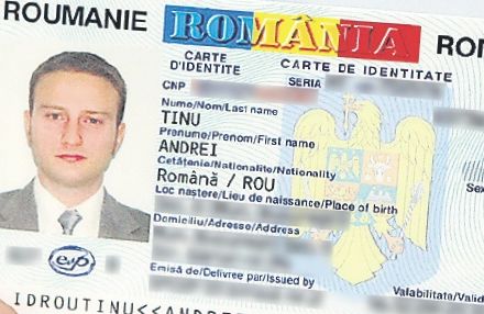 4249-210362-tinu2.jpg