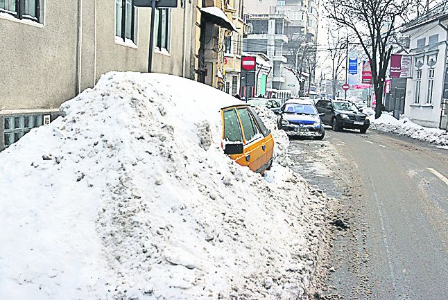 4255-211912-9foto1.jpg