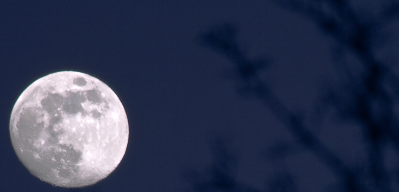 4262-213750-8moon.jpg
