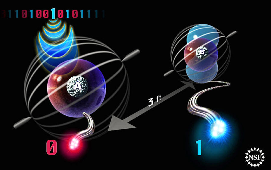 4269-216184-s3.jpg