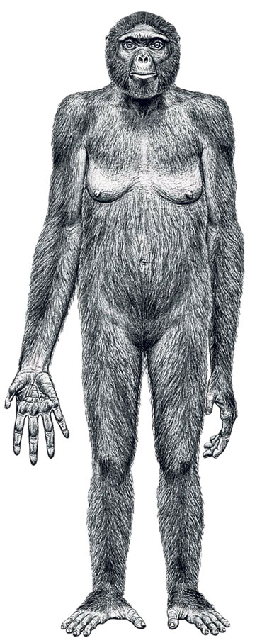 4269-216193-s1.jpg