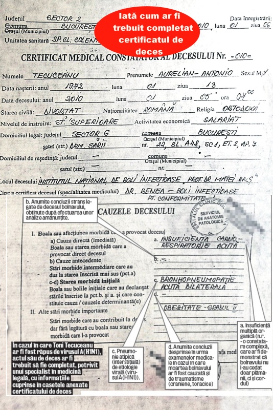 4273-217401-certificat.jpg