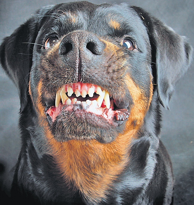 4276-218397-caine.jpg