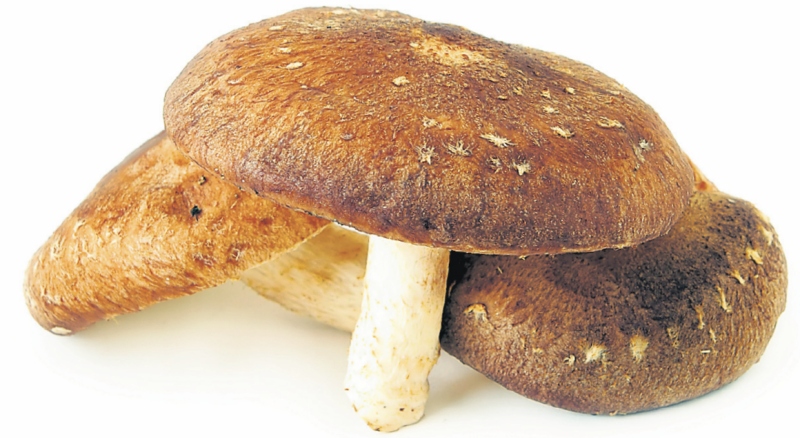 4280-219524-27ciup3.jpg