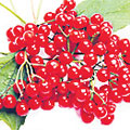 4351-238237-3.jpg