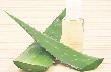 4364-241674-aloevera.jpg