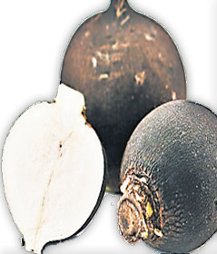 4371-243954-f7.jpg