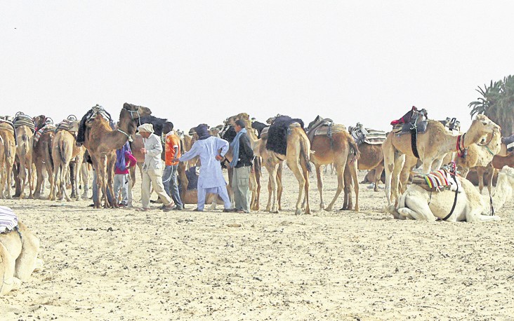 4381-246917-tunisianorthfoto1.jpg 4381-246917-tunisianorthfoto1.jpg