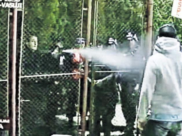 4384-247722-g3.jpg