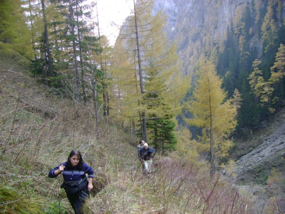0-253987-busteni27.10.2007163580x435.jpg