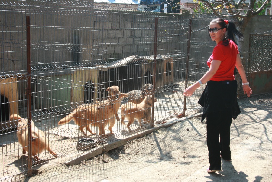0-257657-3260410carmen312.jpg