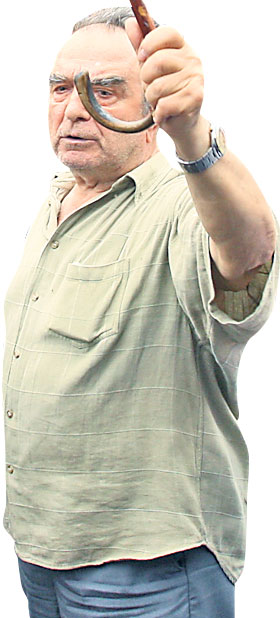 4400-252359-22.jpg