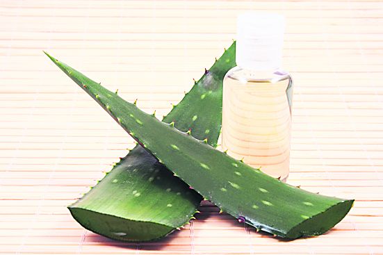 4414-257033-1617aloeverashutterstock_5762026.jpg