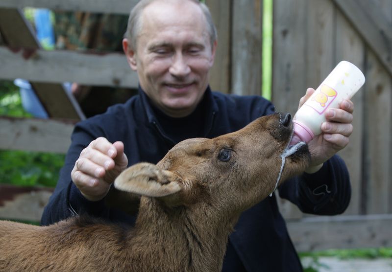 0-260025-putin_hraneste_cu_biberonul_un_elan.jpg