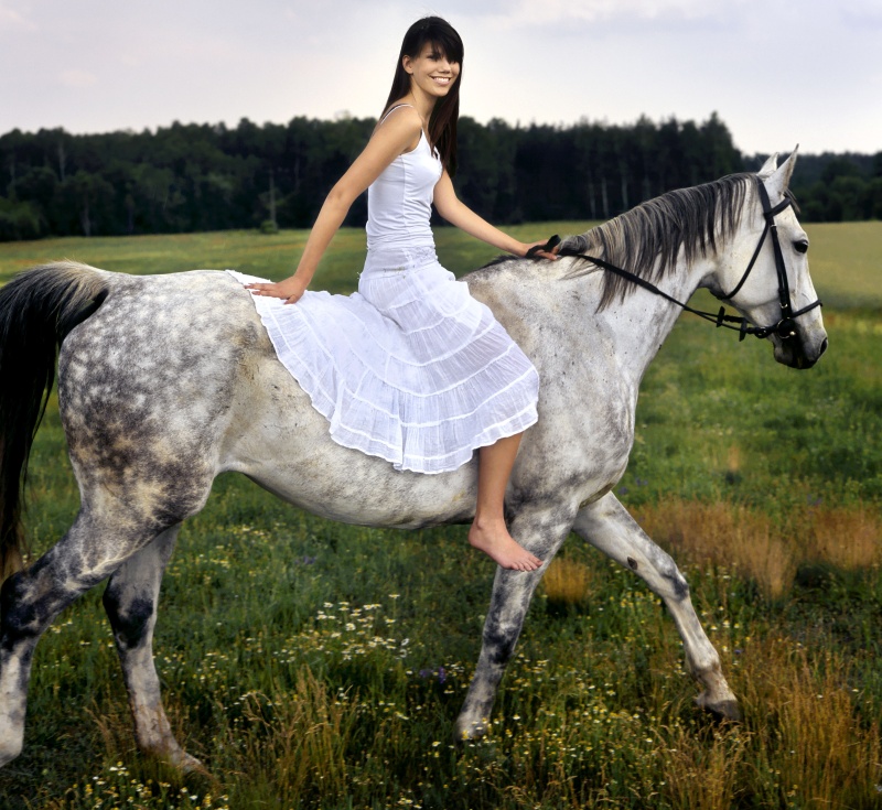 0-261209-calalbfemeierochienorthfoto1.jpg 0-261209-calalbfemeierochienorthfoto1.jpg