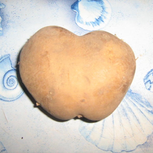 0-262584-aliunicoletaluciana.jpg 0-262584-aliunicoletaluciana.jpg