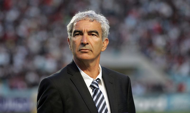 4423-260038-raymond_domenech.jpg