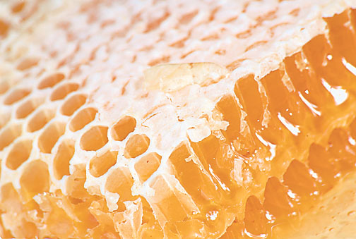 4425-259125-5pansamentenaturalepentruulcerpropolis.jpg