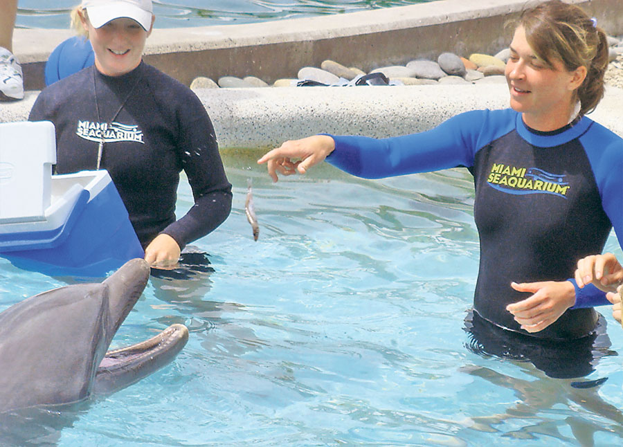 alexandra-dulgheru-tenis-tenismena-delfin