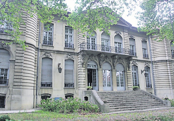4430-261056-palatinainte.jpg
