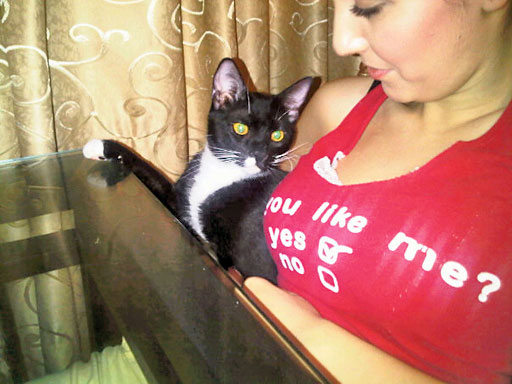 pisica-andreea-mantea