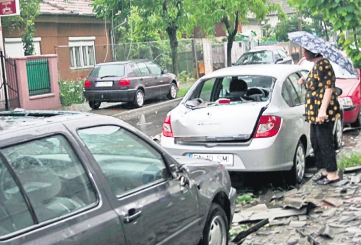 4439-264182-bistrita_ploi2.jpg