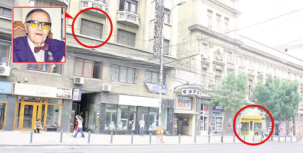 4440-264540-gica_petrescu.jpg 4440-264540-gica_petrescu.jpg