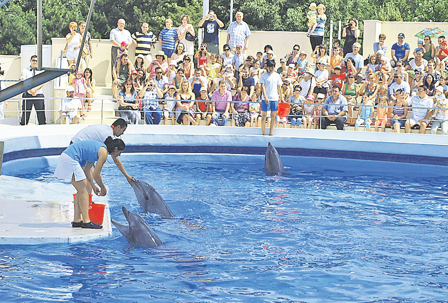 800 de oameni au asistat la primul spectacol al celor trei mamifere