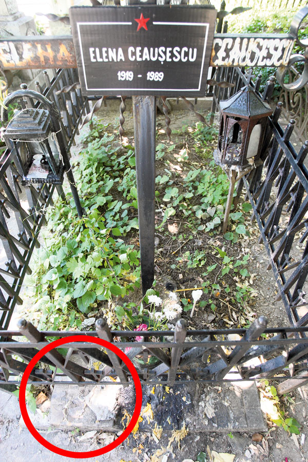 4451-268428-b3.jpg