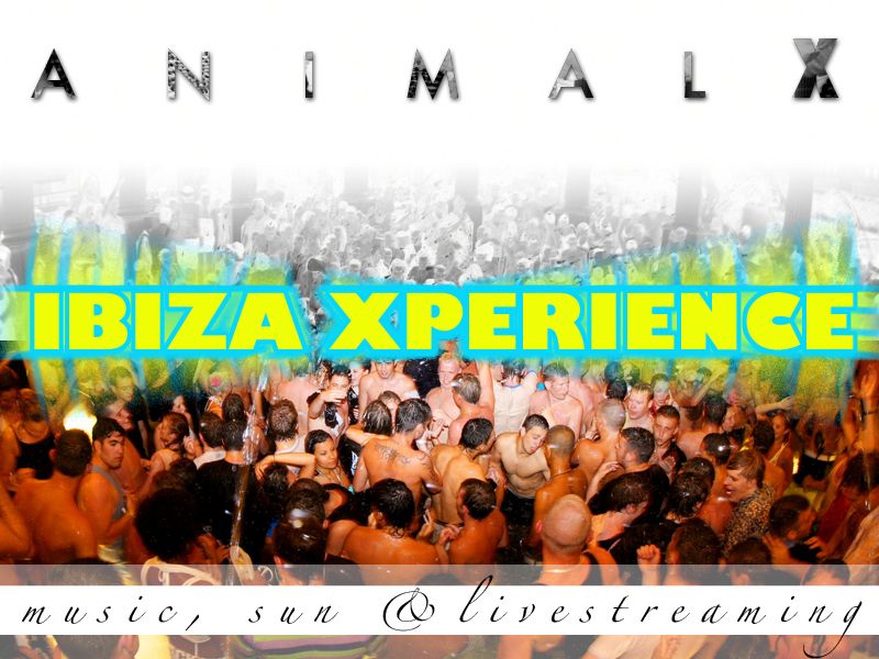 0-277536-ibiza2.jpg 0-277536-ibiza2.jpg
