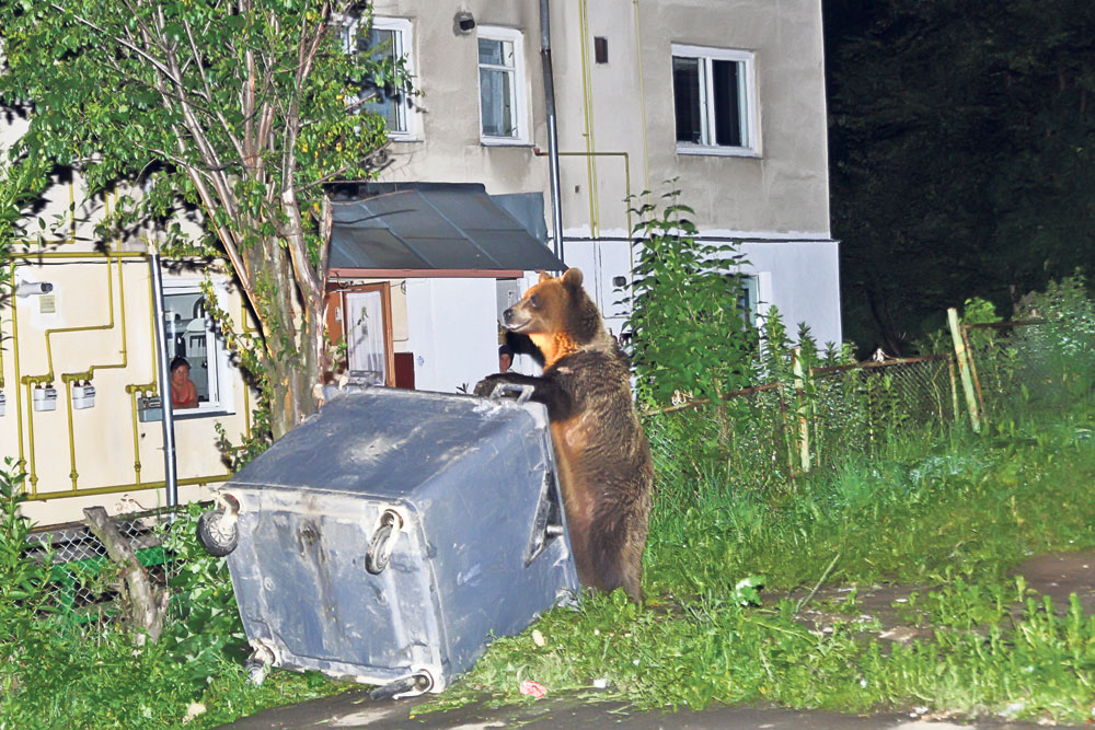 4455-269885-urs_la_tomberon.jpg