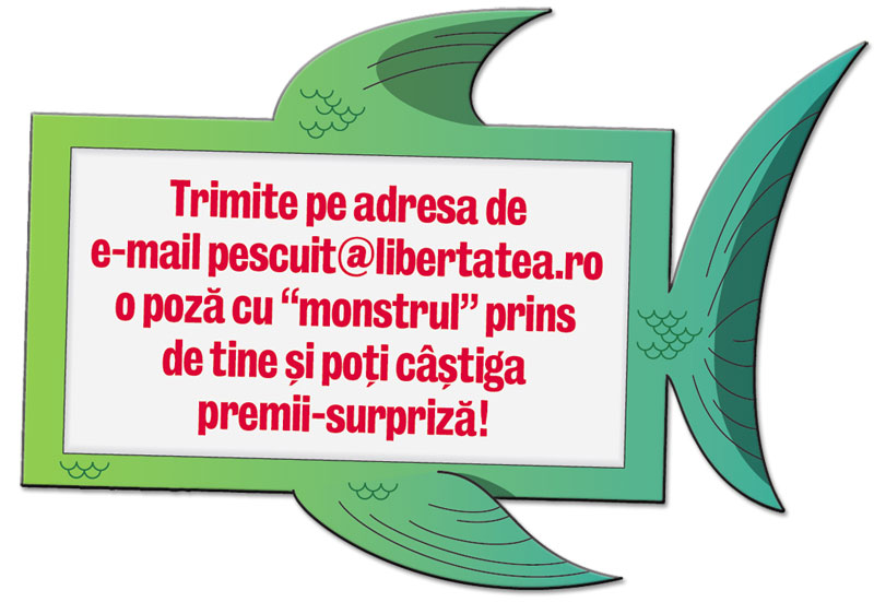 4456-270108-et.jpg 4456-270108-et.jpg
