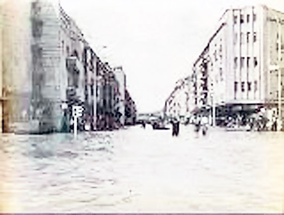 4463-272375-22.jpg